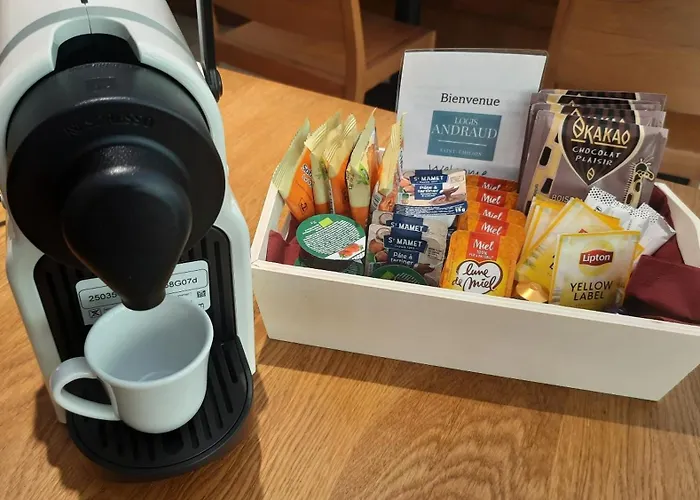 Logis Andraud Σπίτι διακοπών Σεντ Εμιλιόν